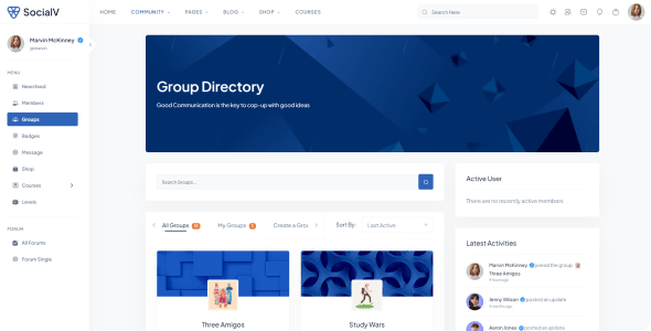 SocialV - Social Network and Community BuddyPress Theme